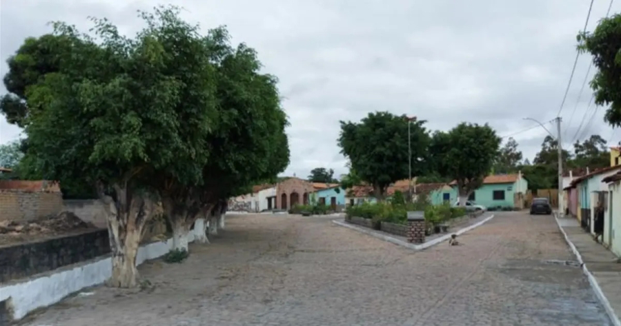 MP-BA recomenda que Palmeiras recupere vegetação de praça após corte irregular de árvores