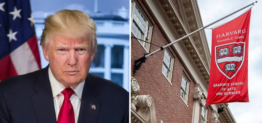 Governo americano bloqueia recursos para novas bolsas em Harvard
