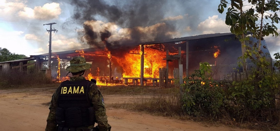 Ibama multa 242 pessoas por incêndios florestais criminosos em 2024