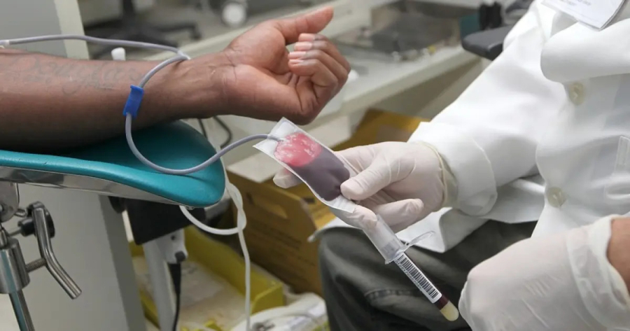 Aprovada há 11 anos, lei que garante meia-entrada para doadores de sangue ainda aguarda regulamentação do governo