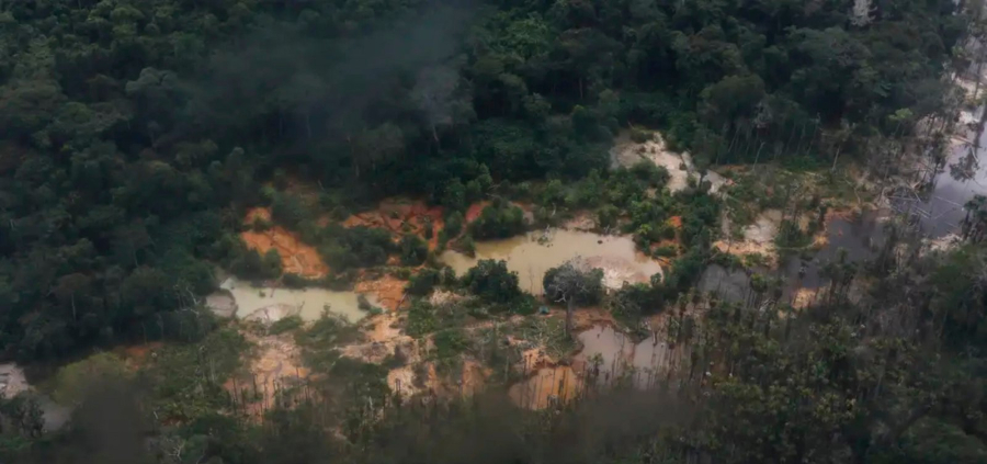 OMS confirma morte por vírus Nipah em Bangladesh