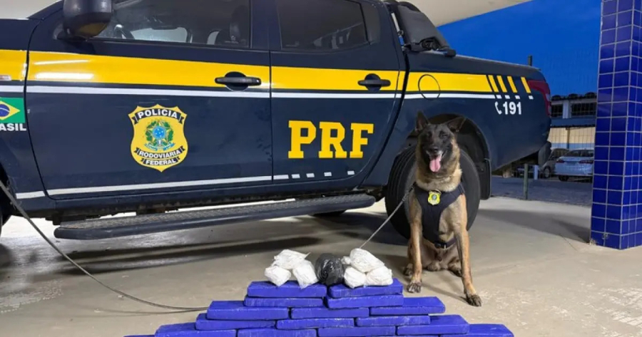 PRF apreende quase 15 kg de drogas em ônibus que passava por Vitória da Conquista