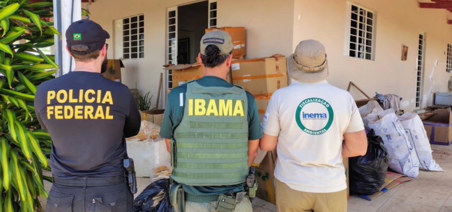 Polícia Federal desarticula ponto de beneficiamento ilegal de barbatanas de tubarão na Bahia