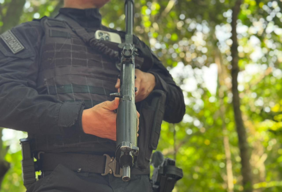 Responsabilidade e segurança: o que todo proprietário precisa saber