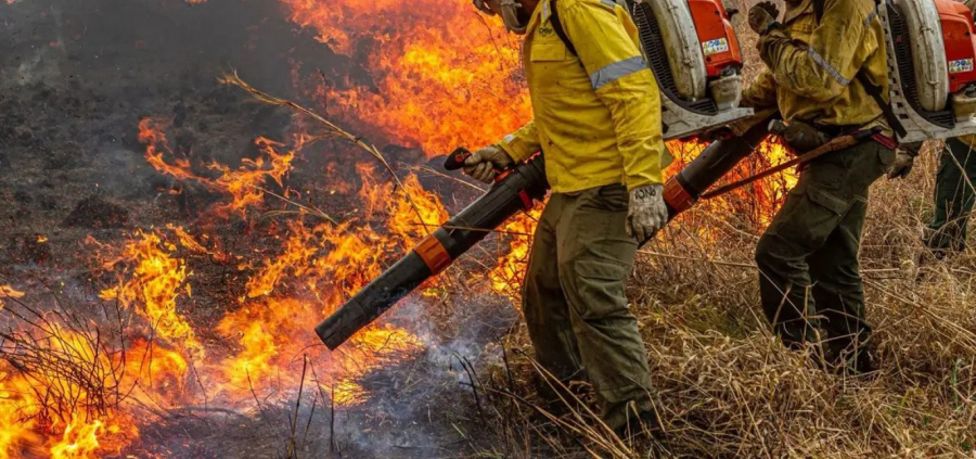 Governo repassa R$ 337 milhões para combate a incêndios e desmatamento