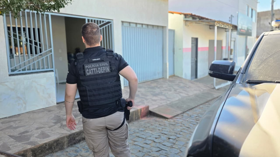 Polícia Civil apreende armas em Brejolândia