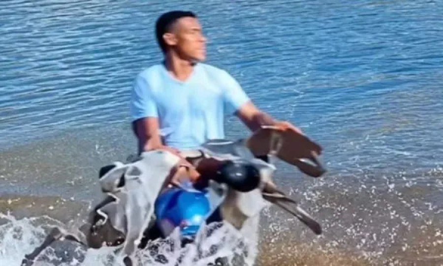 Homem é investigado após jogar cachorro várias vezes em açude na Bahia