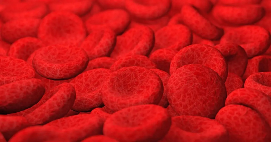 Brasil terá primeiro medicamento para anemia hemolítica autoimune por anticorpos quentes