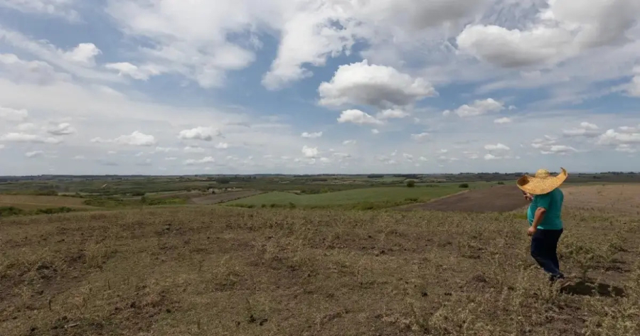 Com foco no semiárido, Bahia envia plano contra o El Niño e se destaca frente a quase metade dos estados; entenda