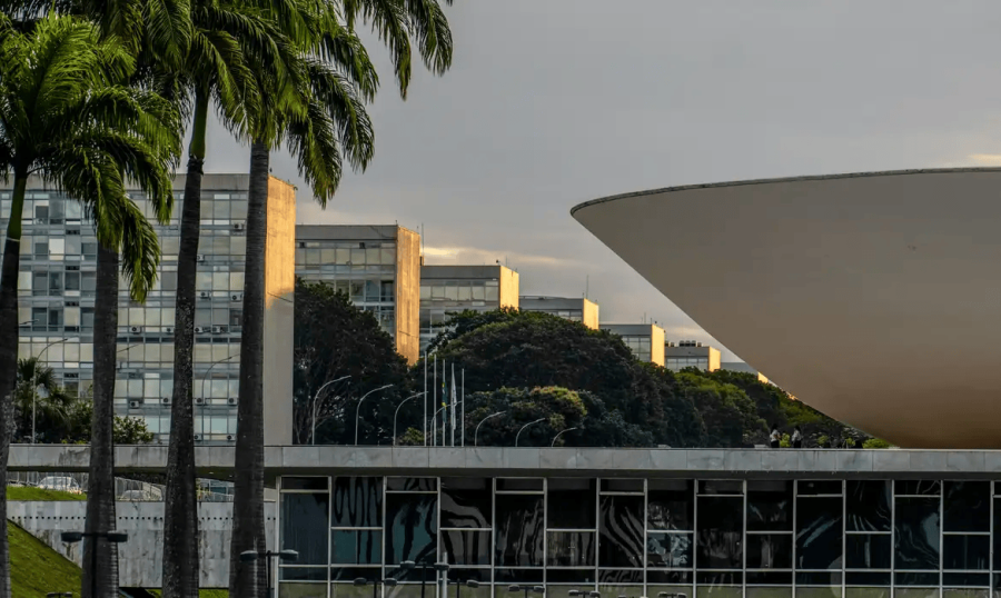 Nikolas Ferreira e Lucas Pavanato foram os deputados mais votados