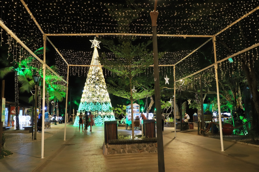 Natal Iluminado: luzes se acendem em Praia do Forte neste sábado (31) e dão início à magia natalina em Mata
